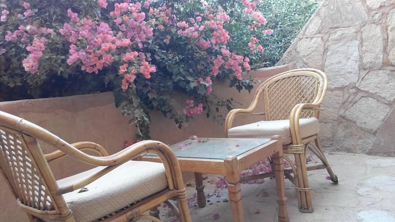 Eskaleh Eco-Lodge Abu Simbel Exteriör bild
